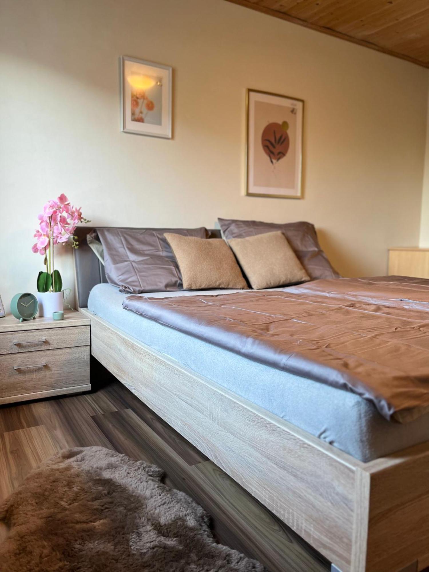 Gemuetliche Wohnung/ Cozy Apartment Никласдорф Экстерьер фото